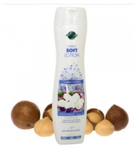 Hollywood Lotion 275 Ml